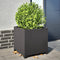 vidaXL - Plantenbak - 50x50x50 - cm - staal - zwart