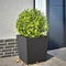 vidaXL - Plantenbak - 50x50x50 - cm - staal - zwart