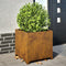 vidaXL - Plantenbak - 50x50x50 - cm - weervast - staal