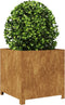 vidaXL - Plantenbak - 50x50x50 - cm - weervast - staal