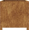 vidaXL - Plantenbak - 50x50x50 - cm - weervast - staal