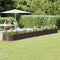 vidaXL - Plantenbak - 512x80x36 - cm - gepoedercoat - staal - bruin