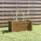 vidaXL - Plantenbak - 60x31x31 - cm - massief - grenenhout - honingbruin