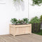 vidaXL - Plantenbak - 60x31x31 - cm - massief - grenenhout