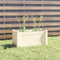 vidaXL - Plantenbak - 60x31x31 - cm - massief - grenenhout - wit