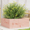 vidaXL - Plantenbak - 60x60x23 - cm - massief - douglashout