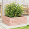 vidaXL - Plantenbak - 60x60x23 - cm - massief - douglashout