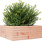 vidaXL - Plantenbak - 60x60x23 - cm - massief - douglashout