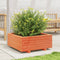 vidaXL - Plantenbak - 60x60x26,5 - cm - massief - grenenhout - wasbruin