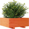 vidaXL - Plantenbak - 60x60x26,5 - cm - massief - grenenhout - wasbruin