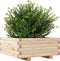 vidaXL - Plantenbak - 60x60x26,5 - cm - massief - grenenhout