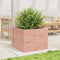 vidaXL - Plantenbak - 60x60x45,5 - cm - massief - douglashout
