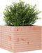 vidaXL - Plantenbak - 60x60x45,5 - cm - massief - douglashout