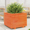 vidaXL - Plantenbak - 60x60x49,5 - cm - massief - grenenhout - wasbruin