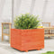 vidaXL - Plantenbak - 60x60x49,5 - cm - massief - grenenhout - wasbruin