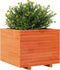 vidaXL - Plantenbak - 60x60x49,5 - cm - massief - grenenhout - wasbruin