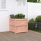 vidaXL - Plantenbak - 60x60x60 - cm - massief - douglashout