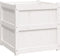 vidaXL - Plantenbak - 60x60x60 - cm - massief - grenenhout - wit