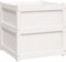 vidaXL - Plantenbak - 60x60x60 - cm - massief - grenenhout - wit