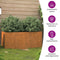 vidaXL - Plantenbak - 62x30x29 - cm - cortenstaal