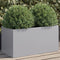 vidaXL - Plantenbak - 62x30x29 - cm - gegalvaniseerd - staal - zilverkleurig