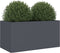 vidaXL - Plantenbak - 62x30x29 - cm - staal - antracietkleurig