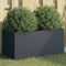 vidaXL - Plantenbak - 62x30x29 - cm - staal - antracietkleurig