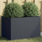 vidaXL - Plantenbak - 62x40x39 - cm - staal - antracietkleurig