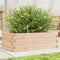 vidaXL - Plantenbak - 70x40x23 - cm - massief - grenenhout