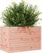 vidaXL - Plantenbak - 70x40x45,5 - cm - massief - douglashout