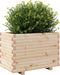 vidaXL - Plantenbak - 70x40x49,5 - cm - massief - grenenhout