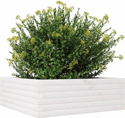 vidaXL - Plantenbak - 70x70x23 - cm - massief - grenenhout - wit