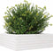 vidaXL - Plantenbak - 70x70x23 - cm - massief - grenenhout - wit