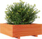 vidaXL - Plantenbak - 70x70x26,5 - cm - massief - grenenhout - wasbruin