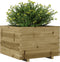 vidaXL - Plantenbak - 70x70x49,5 - cm - geïmpregneerd - grenenhout