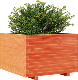 vidaXL - Plantenbak - 70x70x49,5 - cm - massief - grenenhout - wasbruin
