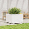 vidaXL - Plantenbak - 70x70x49,5 - cm - massief - grenenhout - wit