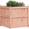 vidaXL - Plantenbak - 70x70x70 - cm - massief - douglashout