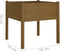 vidaXL - Plantenbak - 70x70x70 - cm - massief - grenenhout - honingbruin