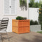 vidaXL - Plantenbak - 70x70x70 - cm - massief - grenenhout - wasbruin