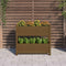 vidaXL - Plantenbak - 77x25x66 - cm - massief - grenenhout - honingbruin
