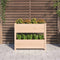 vidaXL - Plantenbak - 77x25x66 - cm - massief - grenenhout