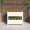 vidaXL - Plantenbak - 77x25x66 - cm - massief - grenenhout - wit