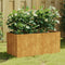 vidaXL - Plantenbak - 80x40x40 - cm - cortenstaal