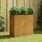vidaXL - Plantenbak - 80x40x80 - cm - cortenstaal
