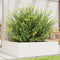 vidaXL - Plantenbak - 80x80x23 - cm - massief - grenenhout - wit