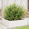 vidaXL - Plantenbak - 80x80x23 - cm - massief - grenenhout - wit