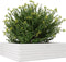 vidaXL - Plantenbak - 80x80x23 - cm - massief - grenenhout - wit