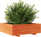 vidaXL - Plantenbak - 80x80x26,5 - cm - massief - grenenhout - wasbruin