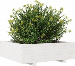 vidaXL - Plantenbak - 80x80x26,5 - cm - massief - grenenhout - wit